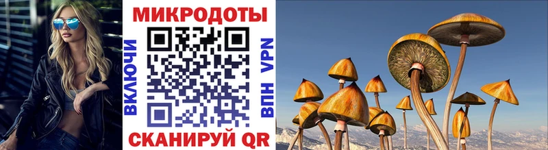 Галлюциногенные грибы Magic Shrooms  наркотики  Волжский 